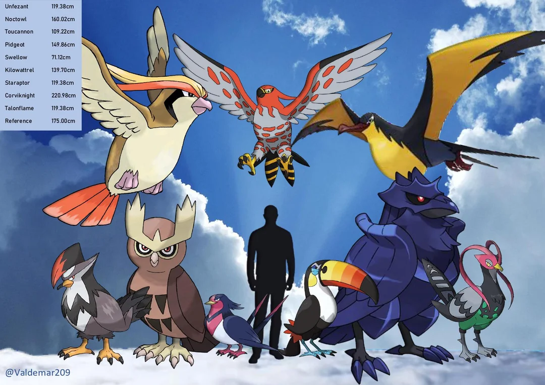 Everything You Need to Know About Bird Pokémon